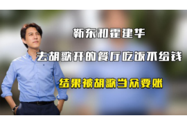 巴南为什么选择专业追讨公司来处理您的债务纠纷？
