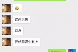 巴南专业催债公司的市场需求和前景分析